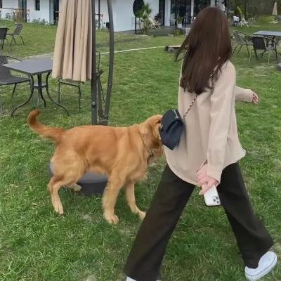 老虎岭女子监狱