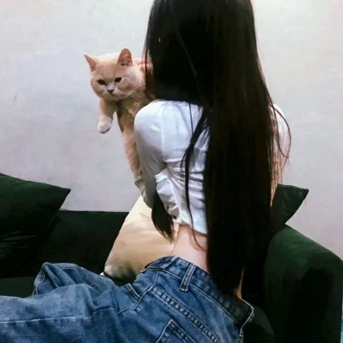 长安秘闻录之聂隐娘